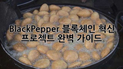 BlackPepper: 블록체인 혁신 프로젝트 완벽 가이드